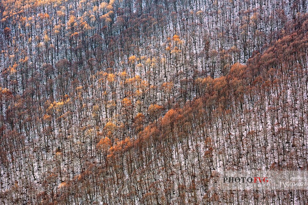 The autumn gives way to winter along the slopes of Castelluccio di Norcia, Sibillini national park, Umbria, Italy