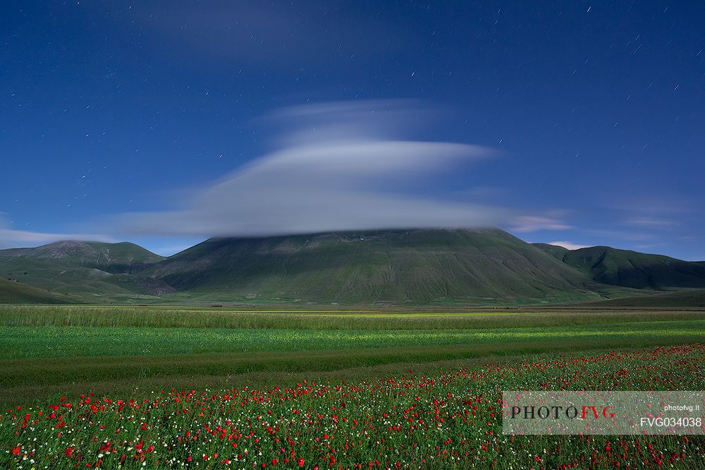 Flowering fields in Castelluccio di Norcia and in the background the Vettore mount, with lenticular cloud, Sibillini National park, Umbria, Italy, Europe