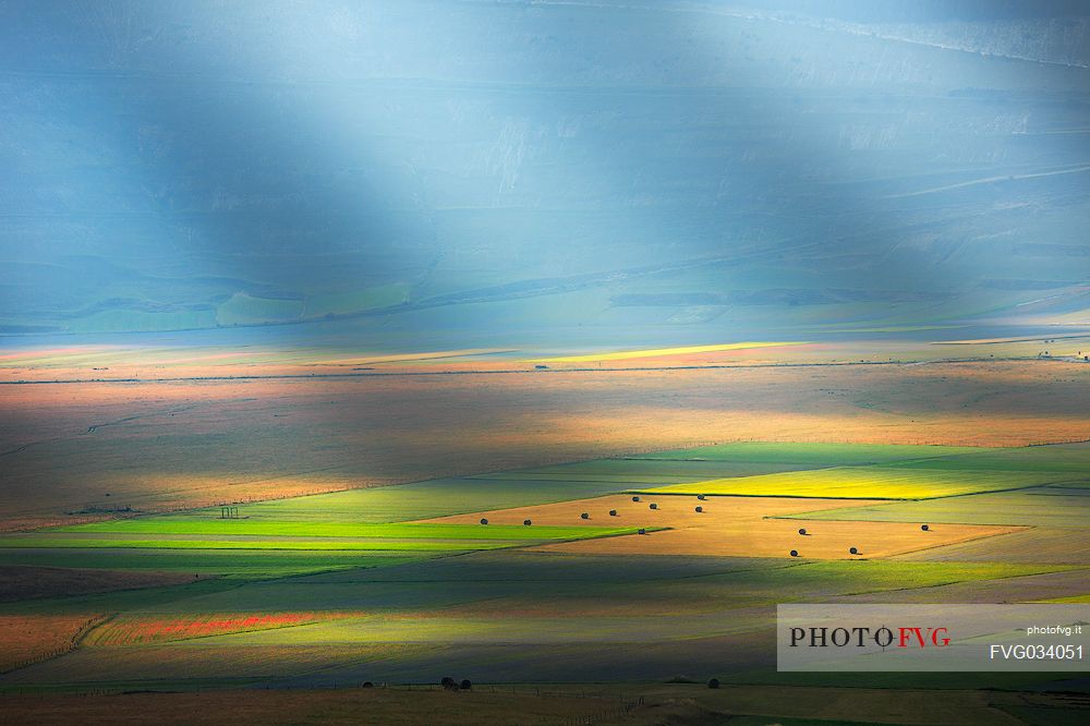 Cultivated fields in the Pian Grande of Castelluccio di Norcia, Sibillini National Park, Umbria, Italy, Europe