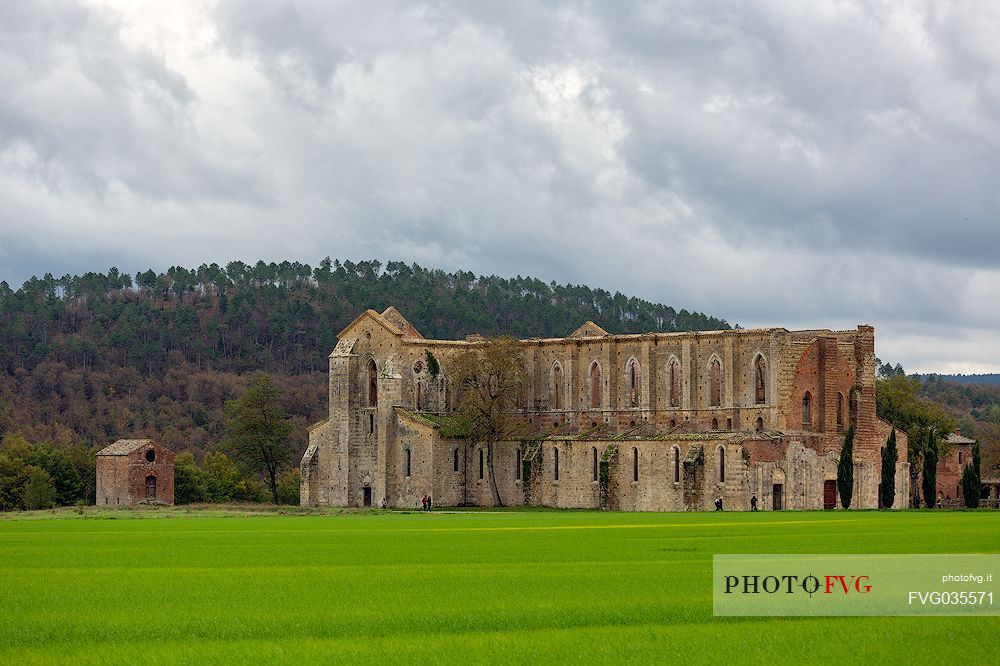 The Abbey of San Galgano, one of the most evocative places in the itineraries of Tuscan spirituality, Tuscany, Italy, Europe