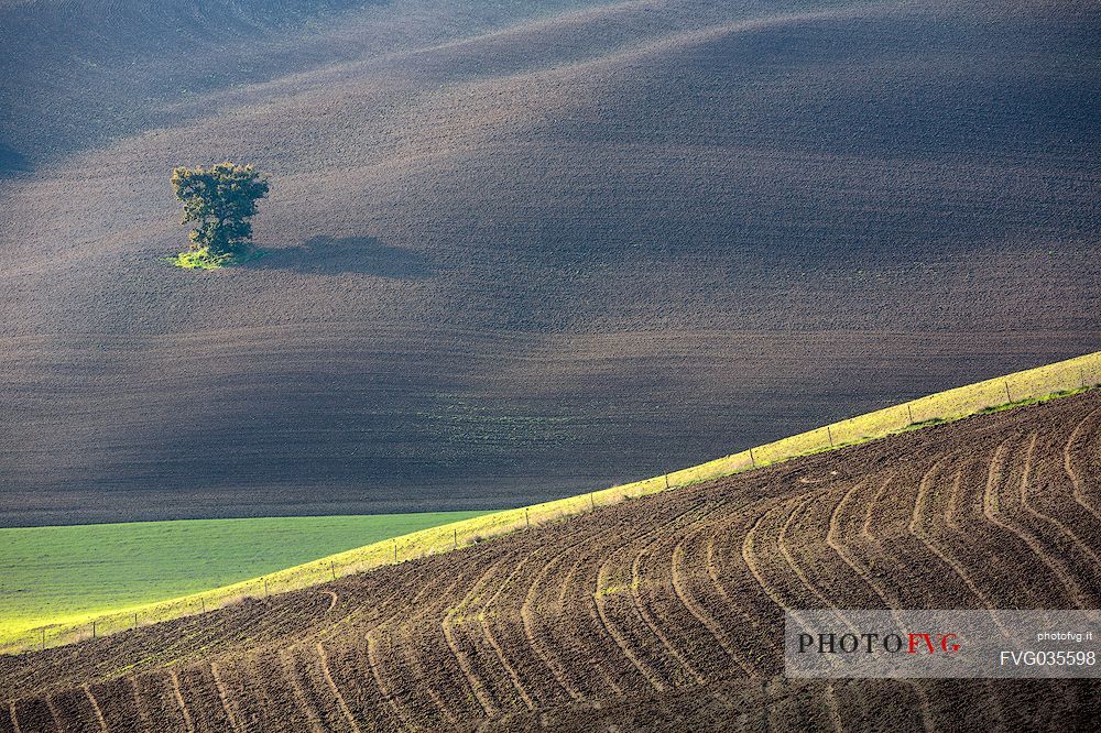 The beauty of the hills in Val d'Orcia, Tuscany, Italy, Europe