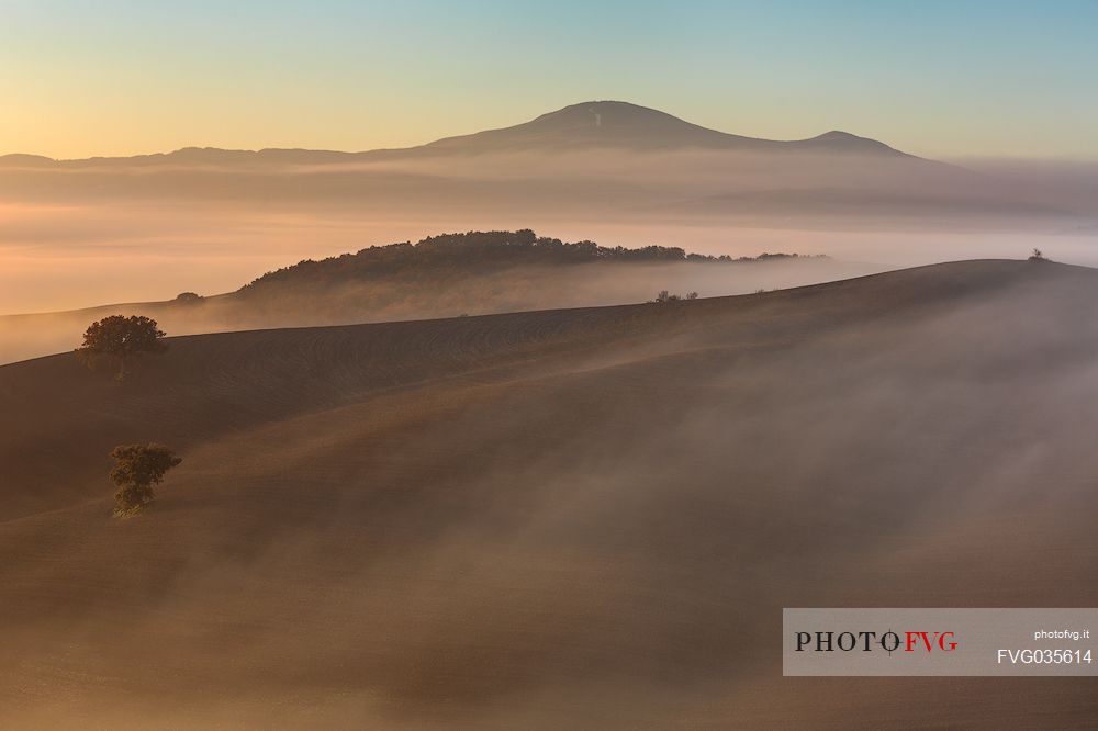 The beauty of the hills in Val d'Orcia in the fog at sunrise, Pienza, Orcia valley, Tuscany, Italy