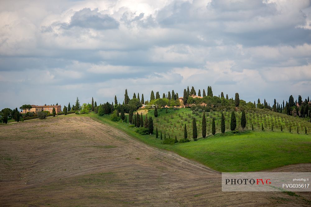 The beauty of the hills in Val d'Orcia, ridges and farmhouses typical of Tuscan beauties, Pienza, Orcia valley, Tuscany, Italy, Europe