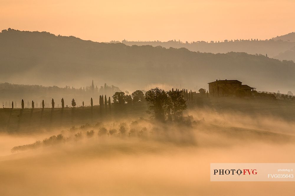 The beauty of the hills in Val d'Orcia in the fog at sunrise, Pienza, Orcia valley, Tuscany, Italy