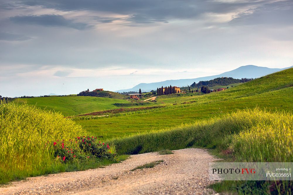 The beauty of the hills in Val d'Orcia, ridges and farmhouses typical of Tuscan beauties, Tuscany, Italy, Europe