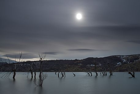 The moon illuminates the lake of Campotosto and its characteristic trees immersed in the water, Gran Sasso and monti della Laga national park, Abruzzo, Italy The moon illuminates the lake of Campotosto and its characteristic trees immersed in the water, Gran Sasso and monti della Laga national park, Abruzzo, Italy