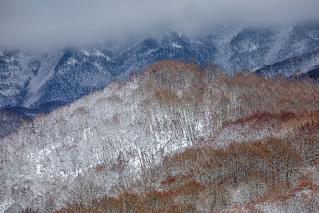 Autumnal snowy forest in the Gran Sasso and monti della Laga national park, Campotosto lake, Abruzzo, Italy Autumnal snowy forest in the Gran Sasso and monti della Laga national park, Campotosto lake, Abruzzo, Italy