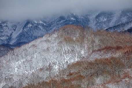 Autumnal snowy forest in the Gran Sasso and monti della Laga national park, Campotosto lake, Abruzzo, Italy