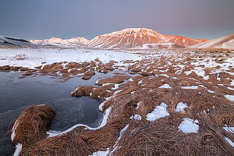 View of the Pian Grande of Castelluccio di Norcia, in the background the Vettore mountain at dawn, Sibillini National Park, Umbria, Italy, Europe