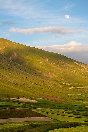 Cultivated fields and flowering of lentils at sunset in Pian Grande, Castelluccio di Norcia, Sibillini National Park, Italy, Europe Cultivated fields and flowering of lentils at sunset in Pian Grande, Castelluccio di Norcia, Sibillini National Park, Italy, Europe