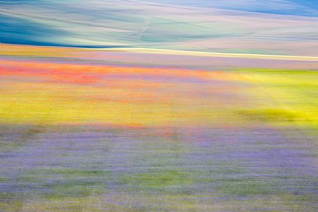 A palette of colors during typical flowering of lentils in Pian Grande of Castelluccio di Norcia, Sibillini National park, Umbria, Italy, Europe