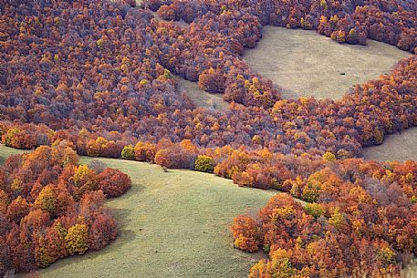 Colored woods along the slopes of the Pian Grande of Castelluccio di Norcia, Sibillini National Park, Umbria, Italy, Europe Colored woods along the slopes of the Pian Grande of Castelluccio di Norcia, Sibillini National Park, Umbria, Italy, Europe