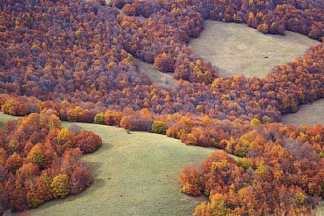 Colored woods along the slopes of the Pian Grande of Castelluccio di Norcia, Sibillini National Park, Umbria, Italy, Europe