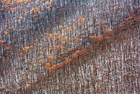 The autumn gives way to winter along the slopes of Castelluccio di Norcia, Sibillini national park, Umbria, Italy