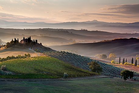 The beauty of the Belvedere farm at dawn, Pienza, Orcia valley, Tuscany, Italy, Europe The beauty of the Belvedere farm at dawn, Pienza, Orcia valley, Tuscany, Italy, Europe