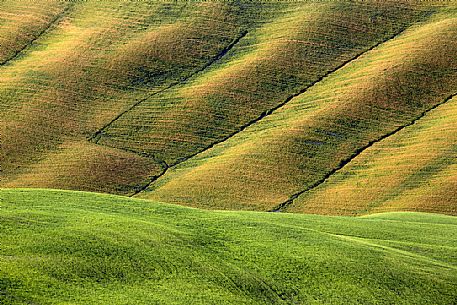 The beauty of the hills in Val d'Orcia, Tuscany, Italy, Europe