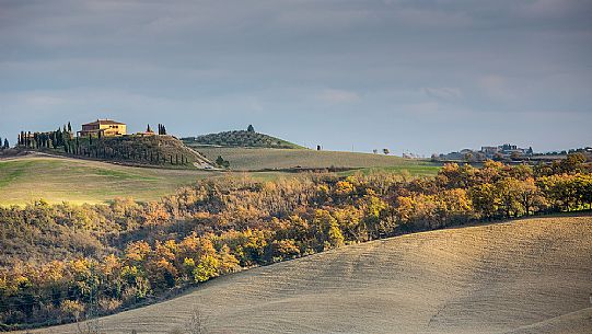 The beauty of the hills in Val d'Orcia, ridges and farmhouses typical of Tuscan beauties, Pienza, Orcia valley, Tuscany, Italy, Europe The beauty of the hills in Val d'Orcia, ridges and farmhouses typical of Tuscan beauties, Pienza, Orcia valley, Tuscany, Italy, Europe