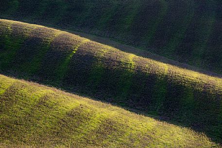 The beauty of the hills in Val d'Orcia, Tuscany, Italy, Europe The beauty of the hills in Val d'Orcia, Tuscany, Italy, Europe