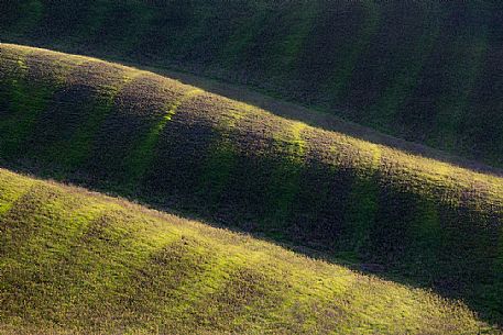 The beauty of the hills in Val d'Orcia, Tuscany, Italy, Europe