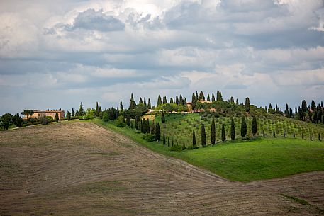 The beauty of the hills in Val d'Orcia, ridges and farmhouses typical of Tuscan beauties, Pienza, Orcia valley, Tuscany, Italy, Europe The beauty of the hills in Val d'Orcia, ridges and farmhouses typical of Tuscan beauties, Pienza, Orcia valley, Tuscany, Italy, Europe
