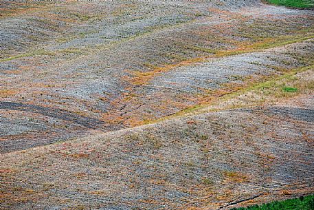 Detail of dry land in Orcia valley, Tuscany, Italy, Europe