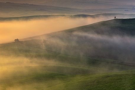 The beauty of the hills in Val d'Orcia in the fog at sunrise, Pienza, Orcia valley, Tuscany, Italy