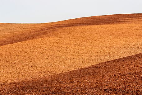 Plowed fields in the hills of the Val d'Orcia, Tuscany, Italy, Europe