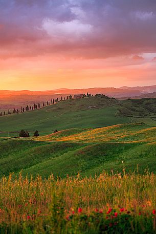 The beauty of the hills in Val d'Orcia at sunset, ridges and farmhouses typical of Tuscan beauties, Tuscany, Italy, Europe