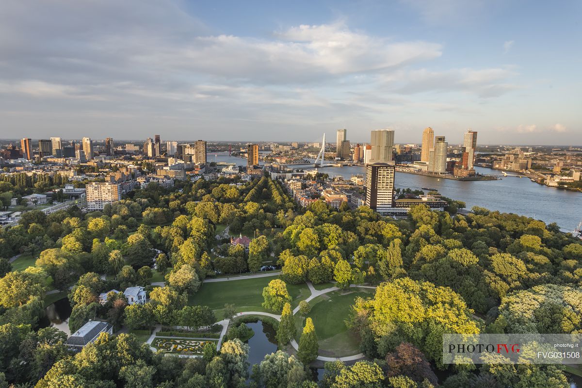 Erasmusbrug skyline, Rotterdam, Netherland