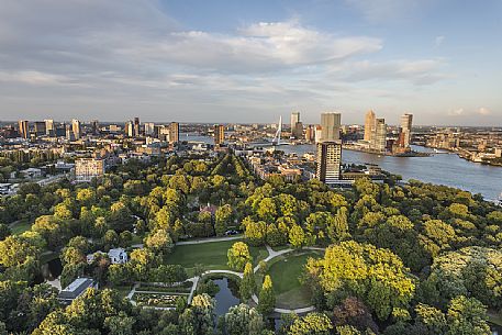 Erasmusbrug skyline, Rotterdam, Netherland