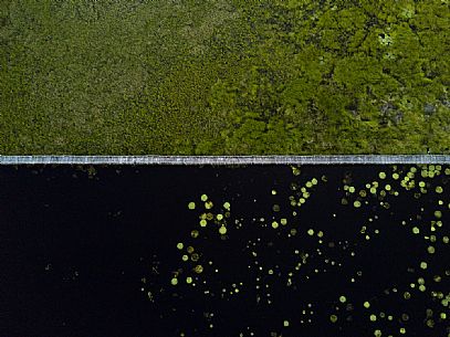 View of Pantanal from above, Mato Grosso, Brazil