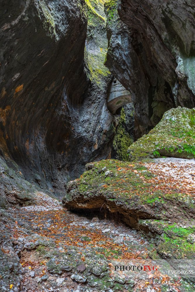 Gorge of Cjanevate, Treppo Carnico, Carnia, Friuli Venezia Giulia, Italy, Europe