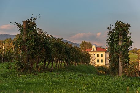 Liluti villa and the vineyards in the fall, Tarcento, Friuli Venezia Giulia, Italy Liluti villa and the vineyards in the fall, Tarcento, Friuli Venezia Giulia, Italy