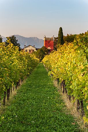 Liluti villa with the the red tower of the castle and the vineyards in the fall, Tarcento, Friuli Venezia Giulia, Italy Liluti villa with the the red tower of the castle and the vineyards in the fall, Tarcento, Friuli Venezia Giulia, Italy
