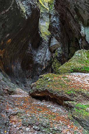 Gorge of Cjanevate, Treppo Carnico, Carnia, Friuli Venezia Giulia, Italy, Europe Gorge of Cjanevate, Treppo Carnico, Carnia, Friuli Venezia Giulia, Italy, Europe