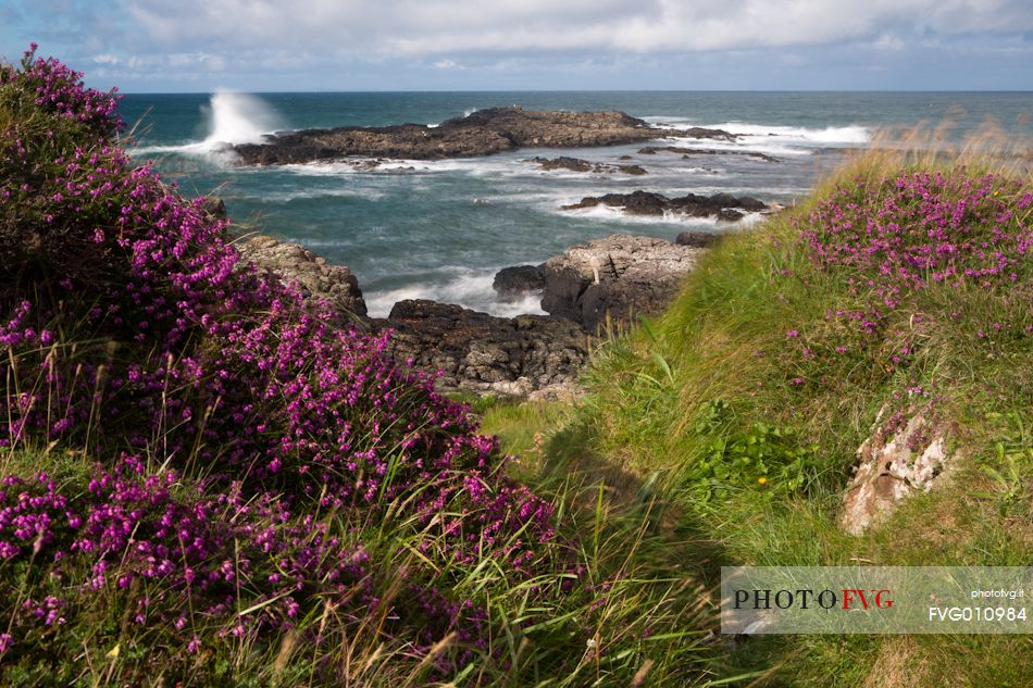 The rocks of Bengore Head