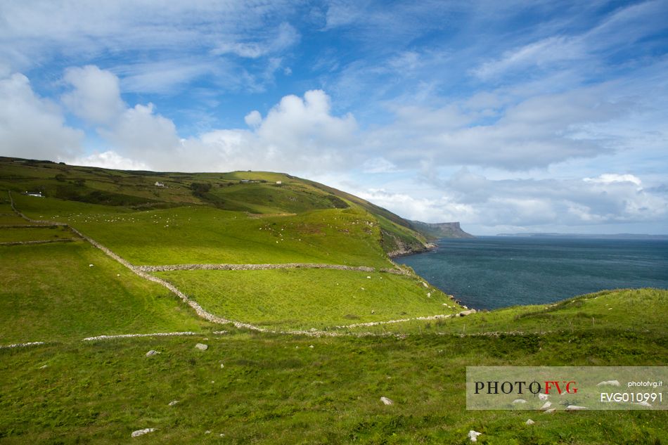 The green pastures of Ireland overlooking the sea