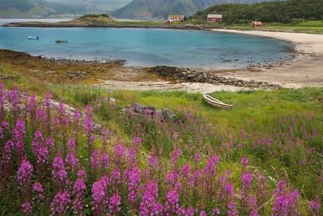 The summer flowers frame a small bay Norwegian