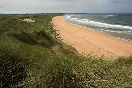 The beach at Trawalua