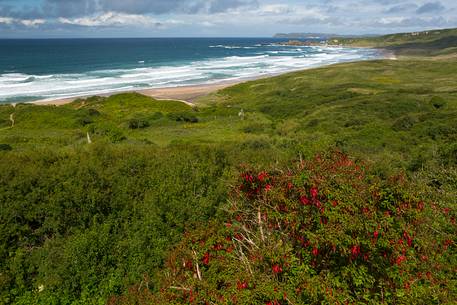 The White Park Bay