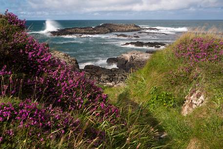 The rocks of Bengore Head