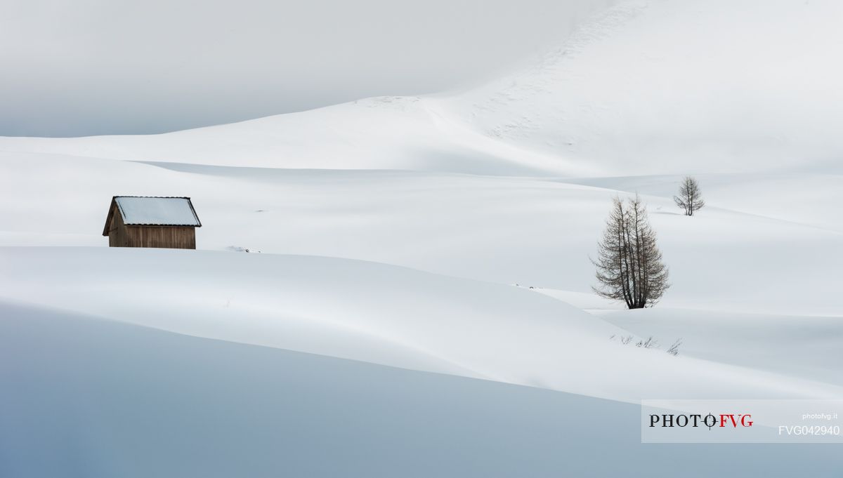 Snowcapped mountain hut with lone trees in Giau pass, dolomites, Cortina d'Ampezzo, Italy, Europe