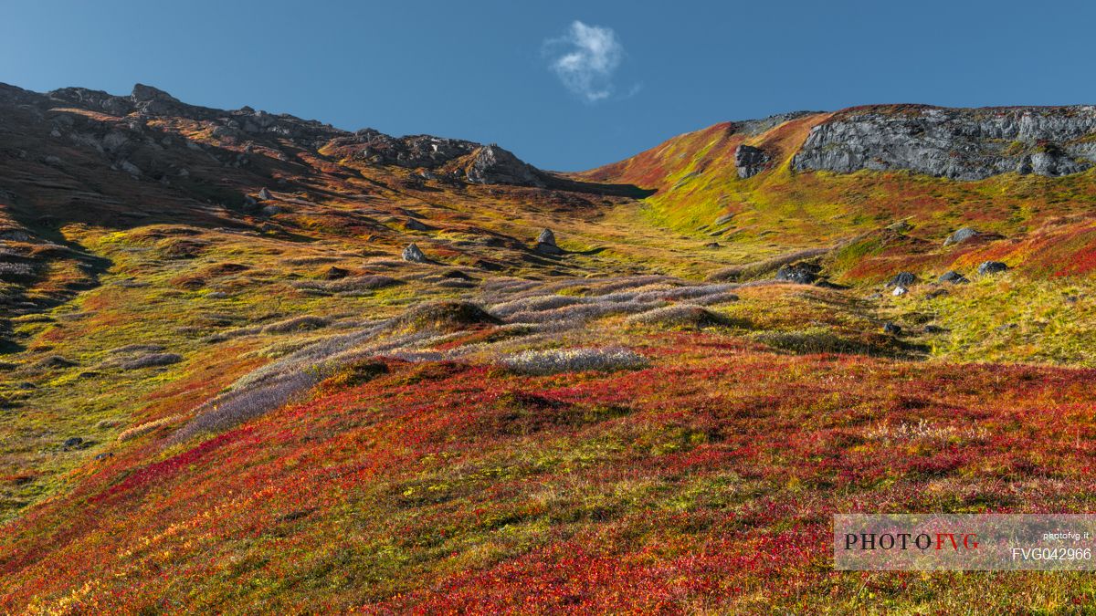 Autumn in the dolomites, colorfull alpine meadow on a sunny day and a cloud, Arabba, dolomites, Italy, Europe