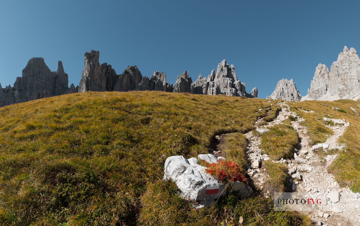 Val Montanaia valley with the path and the Spalti di Toro mount, Dolomiti Friulane natural park, dolomites, Friuli Venezia Giulia, Italy, Europe