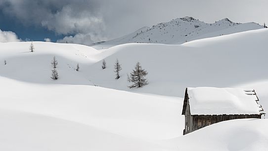 Snowcapped mountain hut with lone trees in Giau pass, dolomites, Cortina d'Ampezzo, Italy, Europe Snowcapped mountain hut with lone trees in Giau pass, dolomites, Cortina d'Ampezzo, Italy, Europe