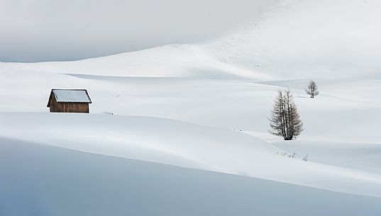 Snowcapped mountain hut with lone trees in Giau pass, dolomites, Cortina d'Ampezzo, Italy, Europe