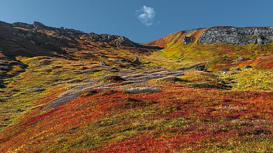 Autumn in the dolomites, colorfull alpine meadow on a sunny day and a cloud, Arabba, dolomites, Italy, Europe