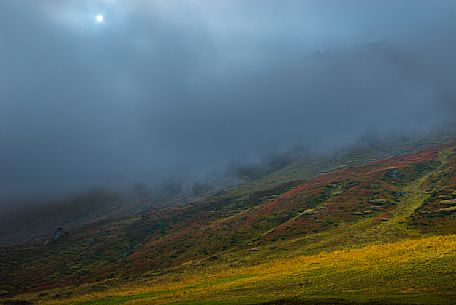 Colorfull alpine meadow on cloudy day with the sun filtered by the clouds, Arabba, dolomites, Italy, Europe