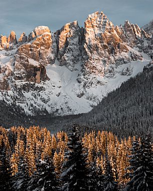 The Pale di San Martino dominate the fir forest of the Venegia valley during a winter sunset, San Martino di Castrozza, dolomites, Trentino Alto Adige, Italy, Europe