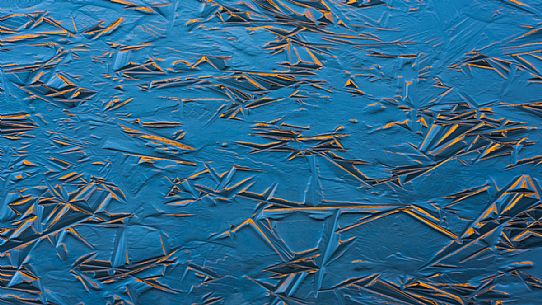 Details of the newly formed ice on Lake Calaita, Paneveggio and Pale di San Martino natural park, dolomites, Trentino, Italy, Europe